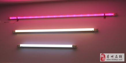 點(diǎn)亮綠色未來 LED節(jié)能燈與環(huán)保裝飾材料的批發(fā)與零售新趨勢(shì)